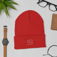 Top Level Unisex Cuffed Stylish Beanies